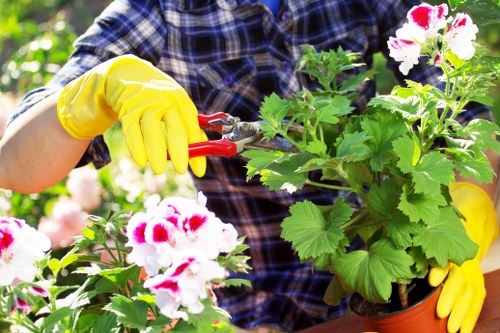 Illustration representing accessible gardening services in Osidge