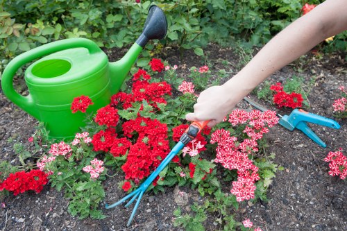 Graphic representing ongoing accessibility improvements for Osidge gardeners