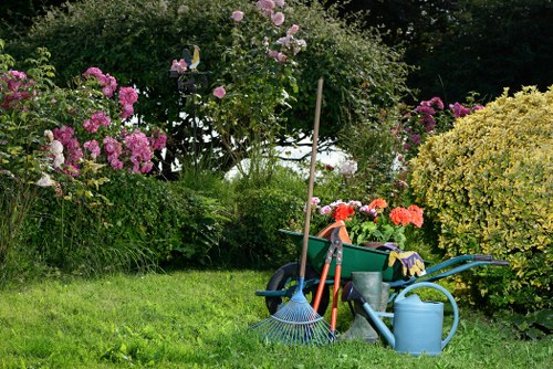 Seasonal garden maintenance in Osidge with leaf clearing and pruning