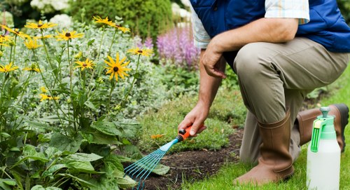 Seasonal lawn treatment in an Osidge garden