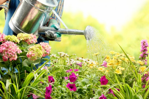A tidy and healthy garden landscape maintained by Gardeners Osidge