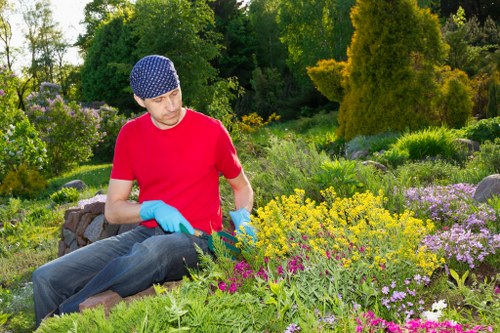 Professional hedge cutting in Osidge improving garden shape