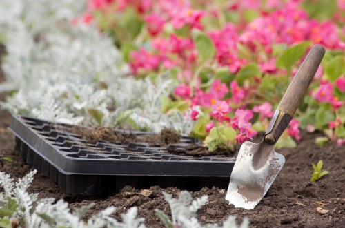 Seasonal garden maintenance in a local Osidge outdoor space