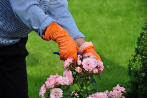 Seasonal hedge trimming in Osidge for local gardens
