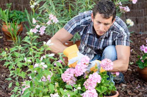 Garden maintenance work with a focus on liability and safety