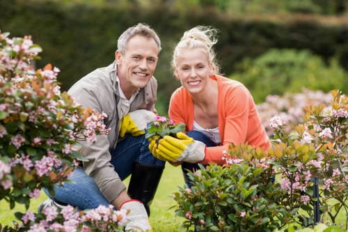Autumn lawn care and aeration in Osidge